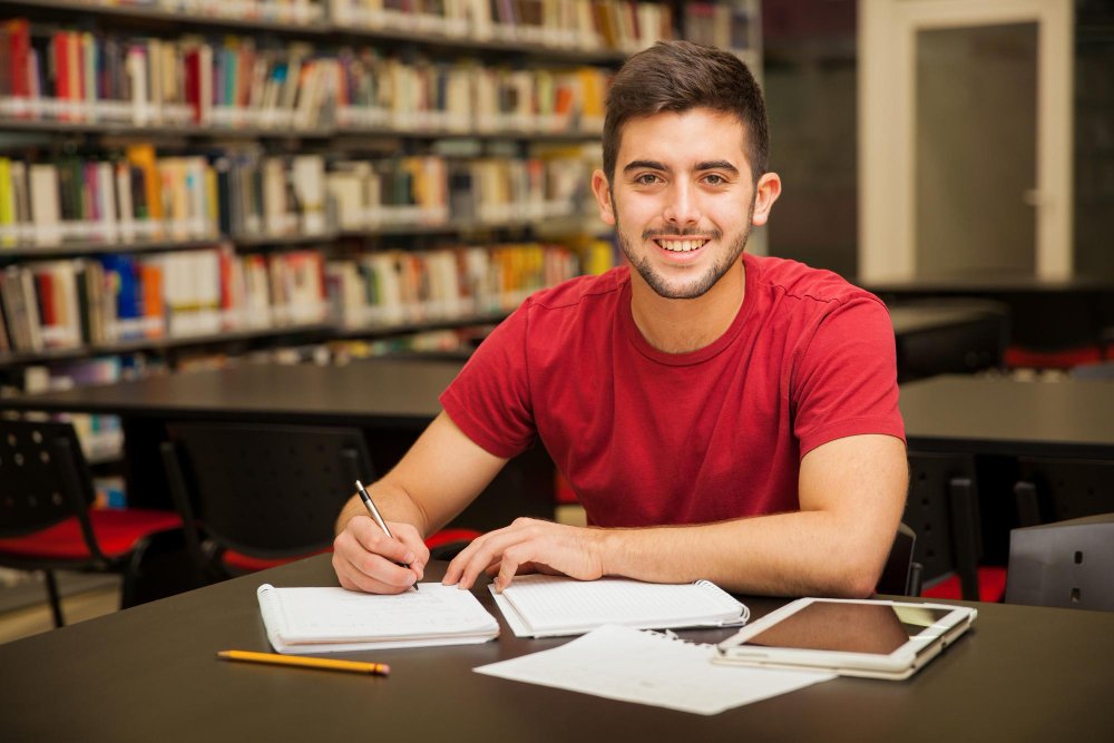 Learning advisor helping a student